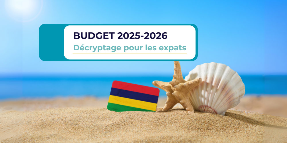 Budget 2025-2026 : Décryptage pour les expats
